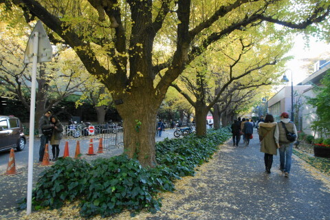 DSC08592N.JPG