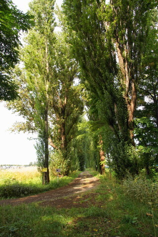 DSC08595.JPG