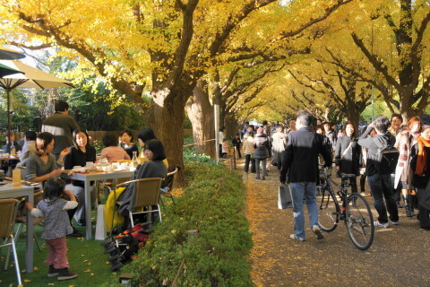 DSC08601N.JPG