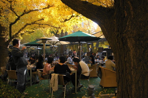 DSC08603N.JPG