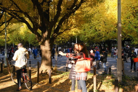 DSC08606N.JPG