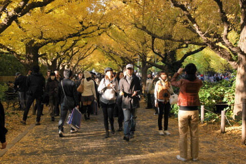 DSC08609N.JPG
