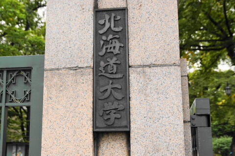 DSC08615.JPG
