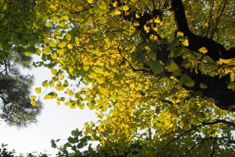 DSC08645N.JPG