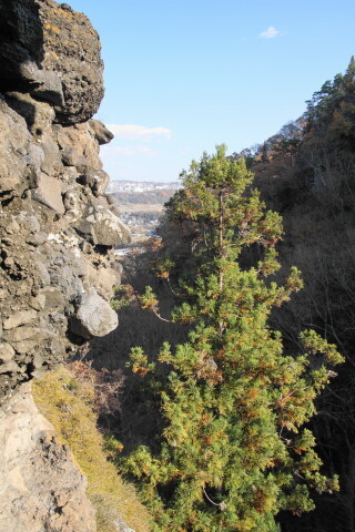 DSC08668.JPG