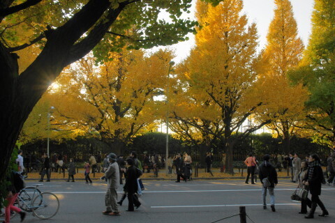DSC08713N.JPG