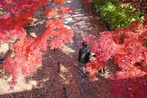 DSC08793.JPG