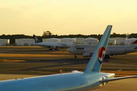 DSC08795.jpg