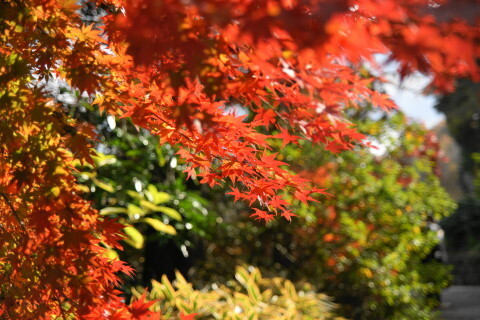 DSC08795N.JPG