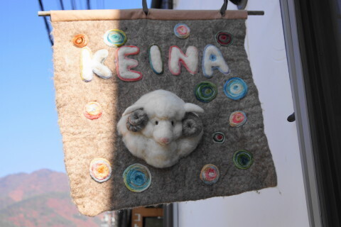 DSC08799.JPG