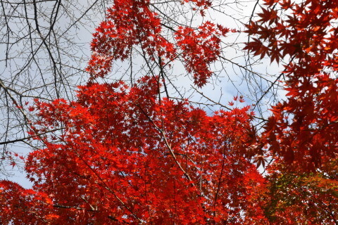DSC08805N.JPG