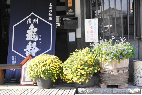 DSC08807.JPG