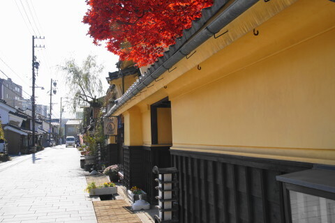 DSC08818.JPG