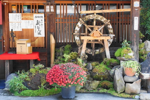 DSC08823.JPG
