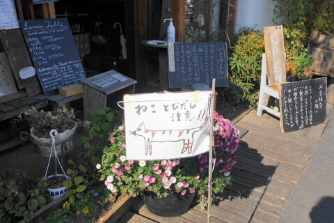 DSC08830.JPG