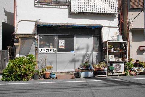 DSC08837.JPG