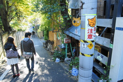 DSC08841ND.JPG