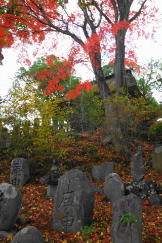 DSC08842N.JPG