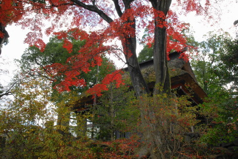 DSC08847N.JPG