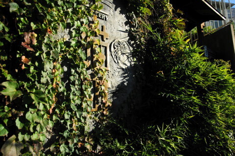 DSC08856ND.JPG