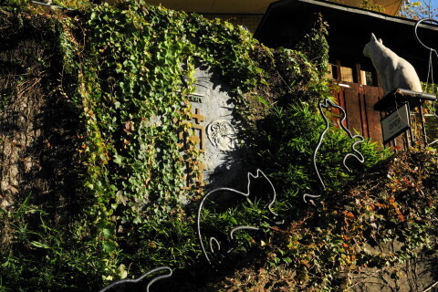 DSC08867ND.JPG