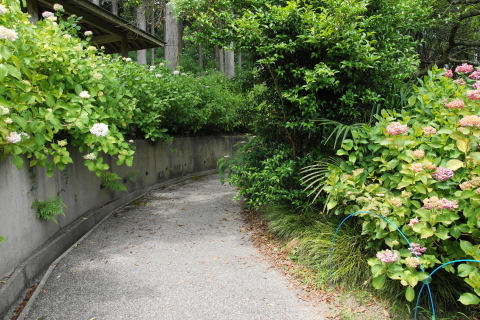 DSC08885.JPG