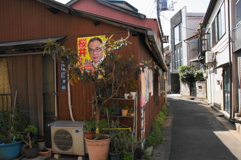 DSC08899.JPG