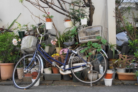 DSC08902.JPG