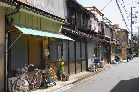 DSC08903.JPG