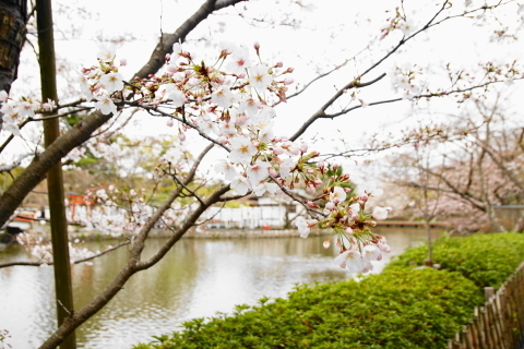 DSC08964.JPG