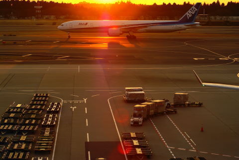 DSC08971.jpg