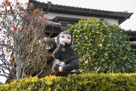 DSC09513.JPG