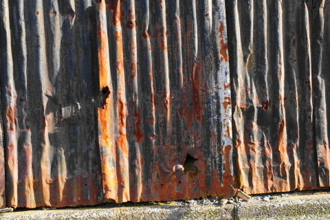 DSC09551.JPG