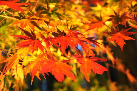 DSC09555ND.JPG