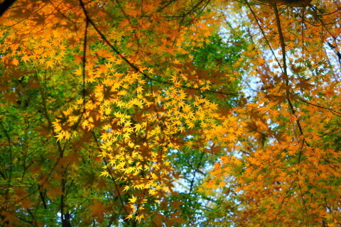 DSC09573ND.JPG