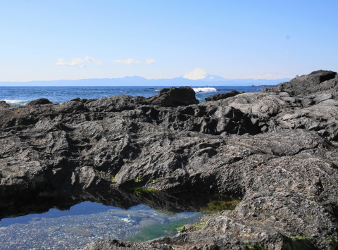 DSC09598.JPG