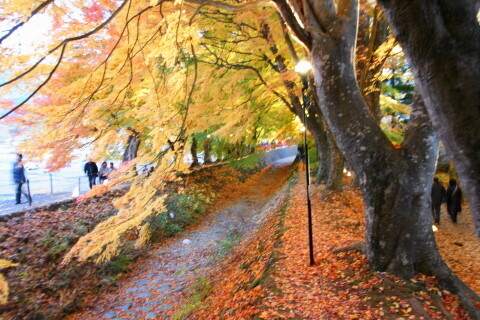 DSC09609ND.JPG