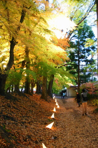 DSC09613ND.JPG