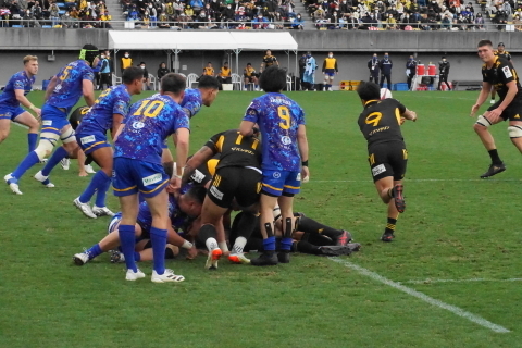 DSC09748.JPG