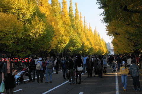 img81064.jpg