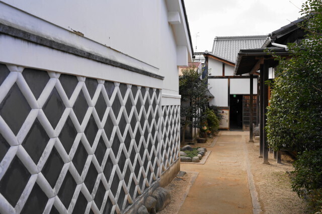 DSC05003.JPG
